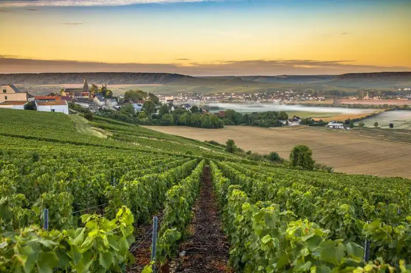 Best things to do near Paris Best things to do near Paris